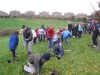 Bulb Planting alongside Comiston Road